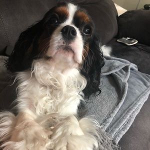 Meet your Posher, Jacqueline